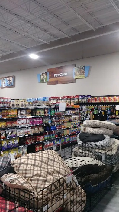 Blain's Farm & Fleet - Portage, Michigan 4