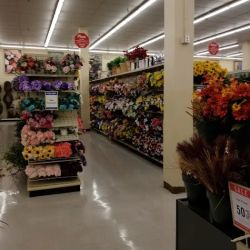 Hobby Lobby ico