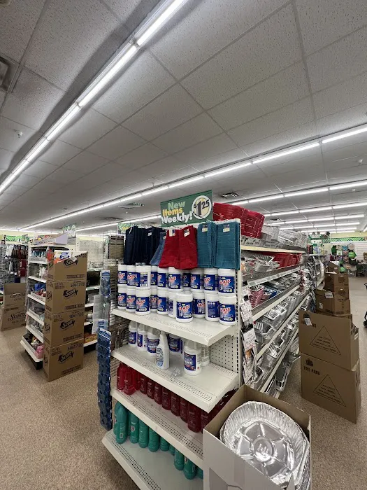Dollar Tree 6