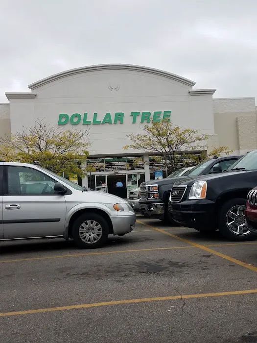 Dollar Tree 0