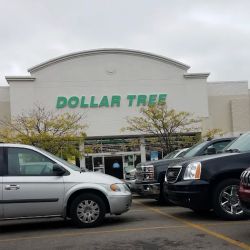 Dollar Tree ico
