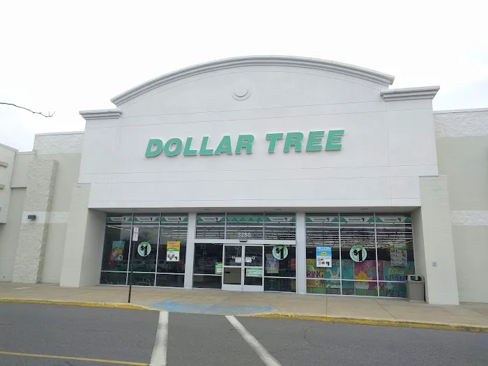 Dollar Tree 1
