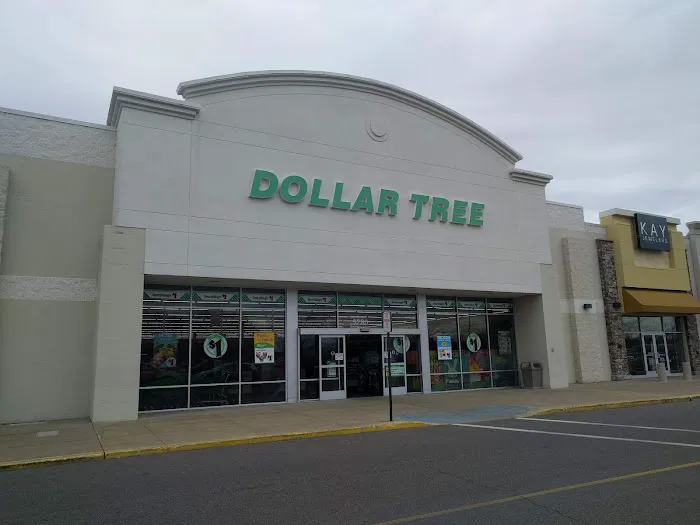 Dollar Tree 2