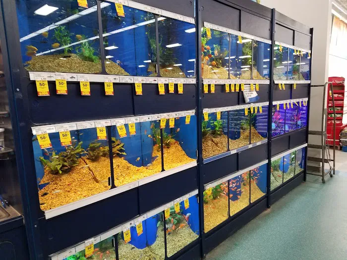 Meijer 7