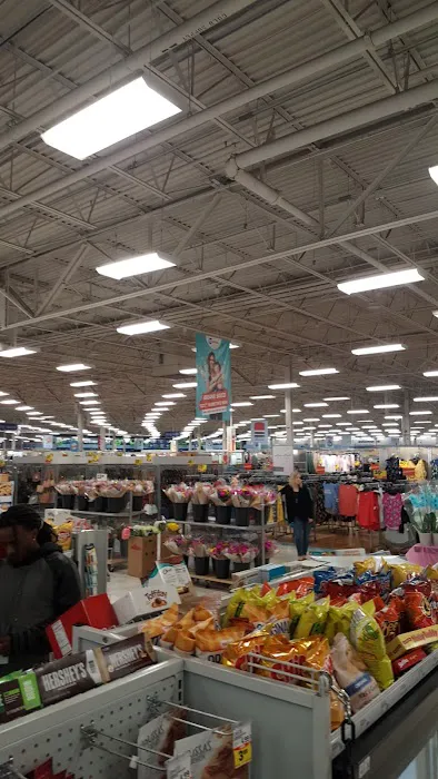 Meijer 8