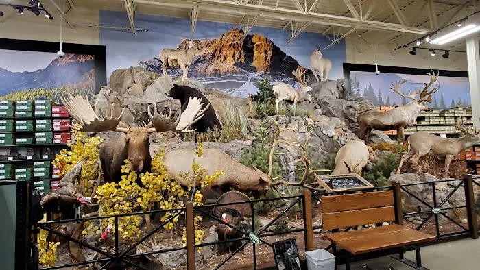 Sportsman's Warehouse 0