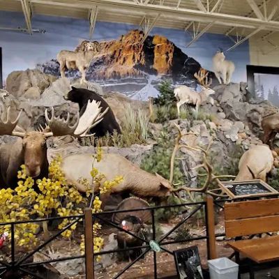 Sportsman's Warehouse