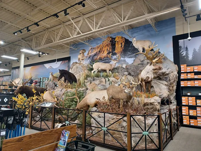 Sportsman's Warehouse 8