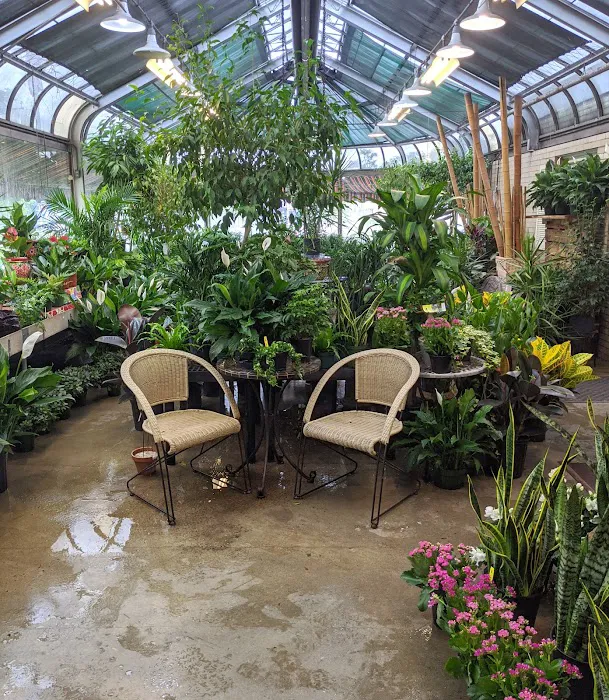 VanderSalm's Flower Shop & Garden Center 4