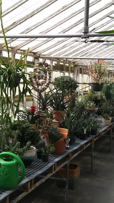 VanderSalm's Flower Shop & Garden Center 2