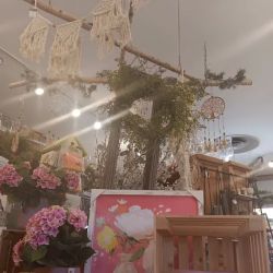 VanderSalm's Flower Shop & Garden Center ico