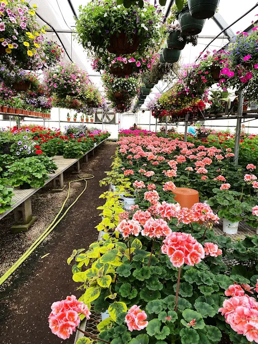 VanderSalm's Flower Shop & Garden Center 9