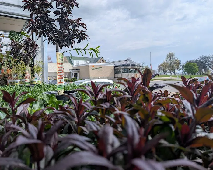 VanderSalm's Flower Shop & Garden Center 8