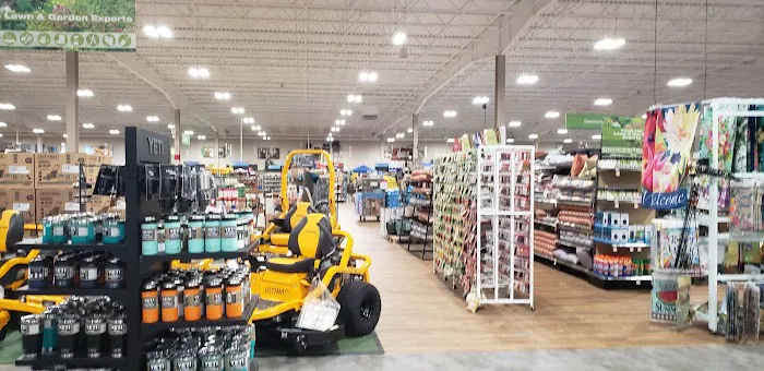Blain's Farm & Fleet - Holland, Michigan 3