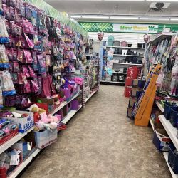 Dollar Tree ico