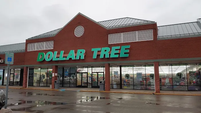 Dollar Tree 4