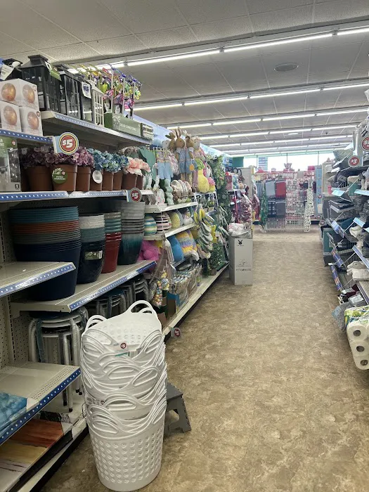 Dollar Tree 3