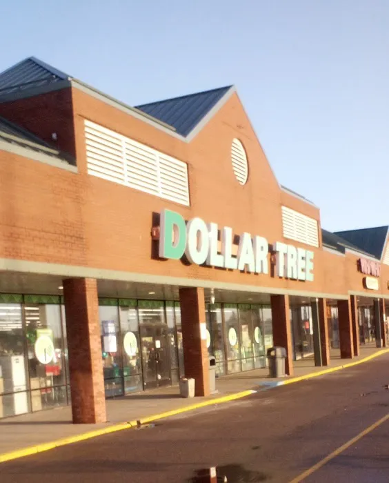 Dollar Tree 6
