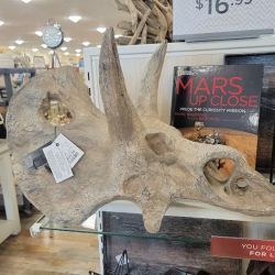 HomeGoods ico