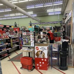 Landers Ace Hardware ico
