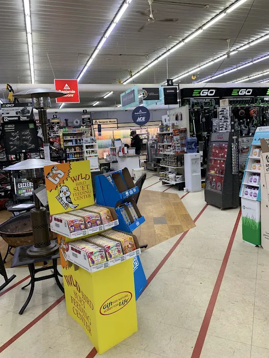 Landers Ace Hardware 1
