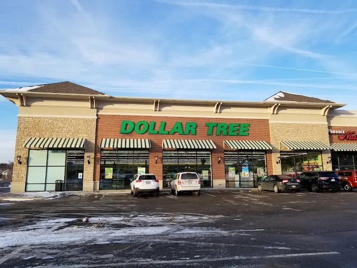Dollar Tree 2