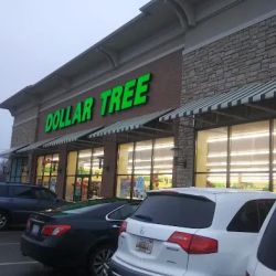 Dollar Tree ico