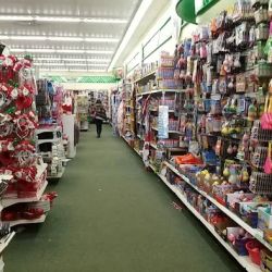 Dollar Tree ico