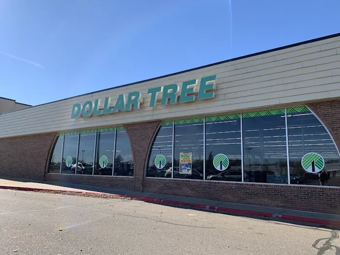 Dollar Tree 1