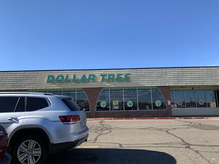 Dollar Tree 6