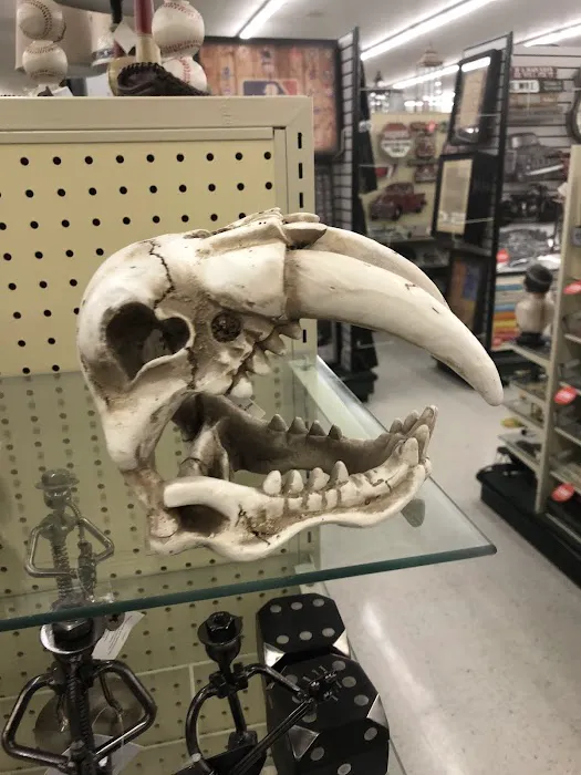 Hobby Lobby 2
