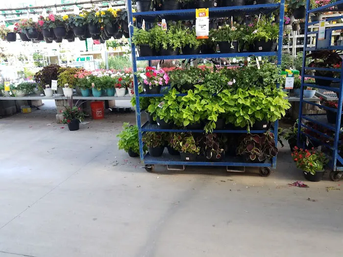 The Home Depot 7