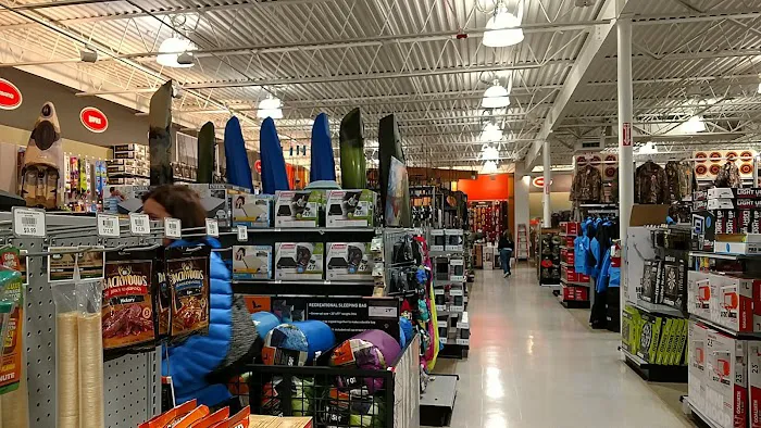 DICK'S Sporting Goods 8