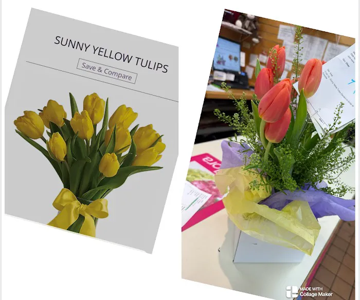 Ambati Flowers 7