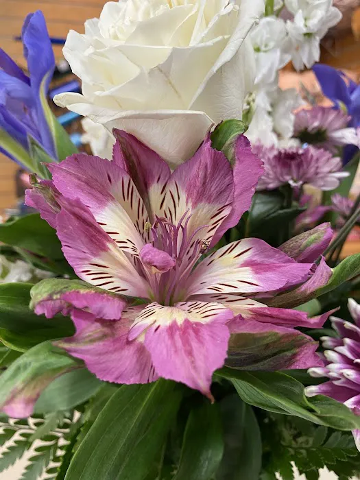 Ambati Flowers 2
