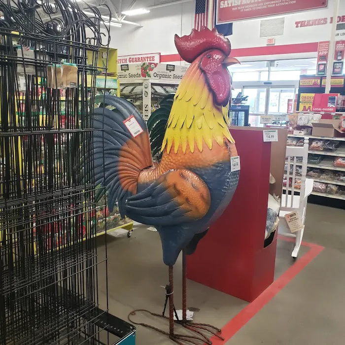 Tractor Supply Co. 7