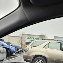 Dollar Tree ico