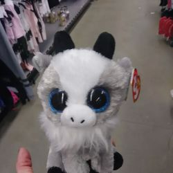 Five Below ico