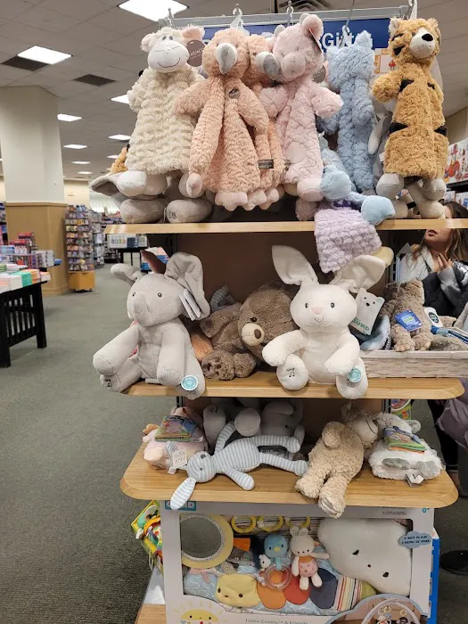 Barnes & Noble 4
