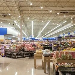 Meijer ico