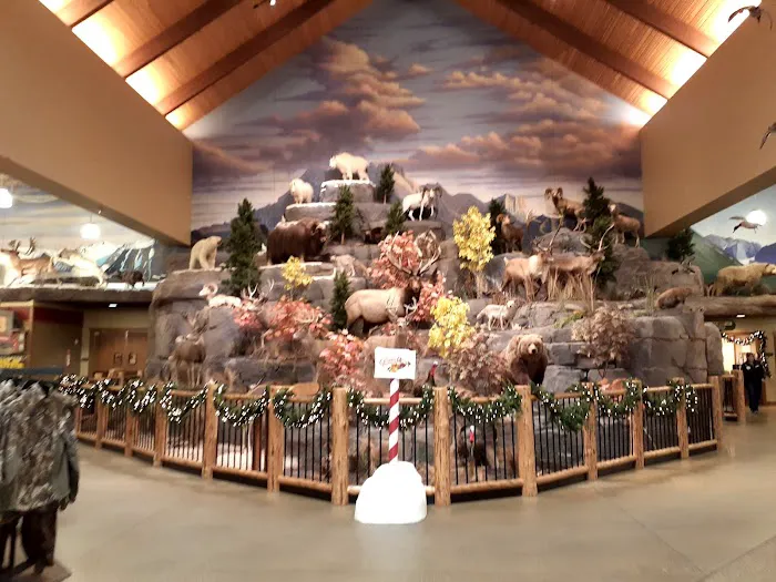 Cabela's 2