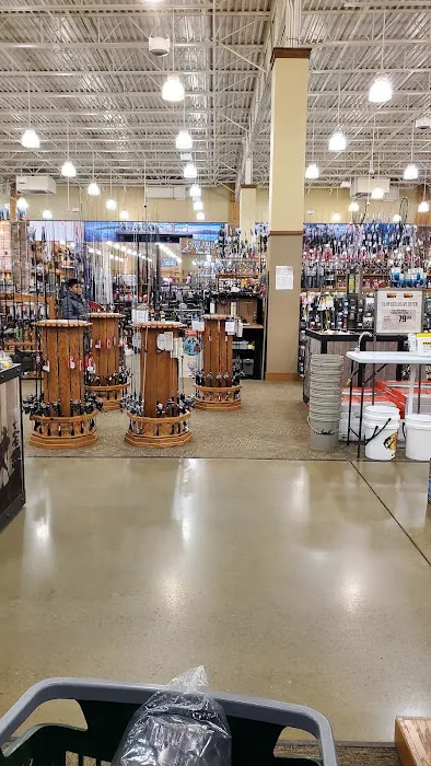 Cabela's 1