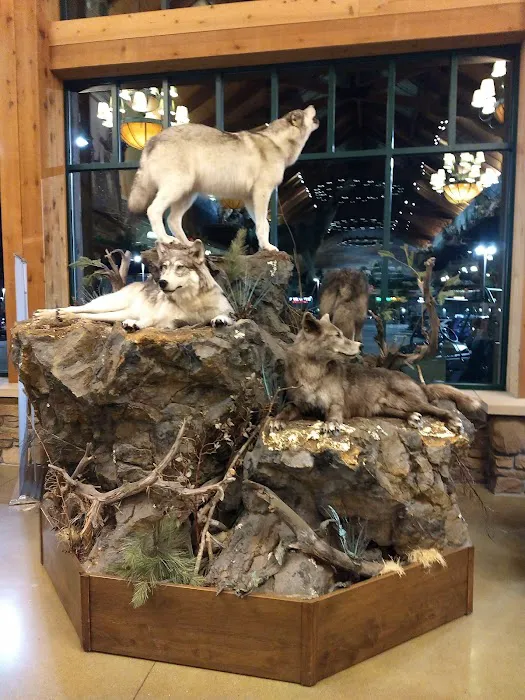 Cabela's 7