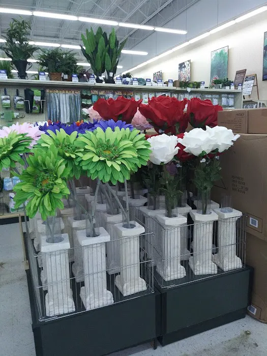 Hobby Lobby 1