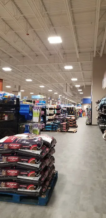 Blain's Farm & Fleet - Standale, Michigan 3