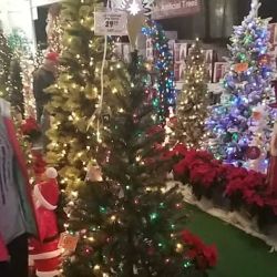 Menards ico