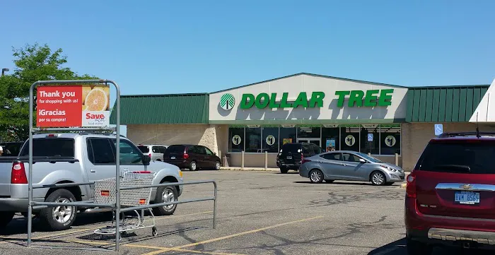 Dollar Tree 7