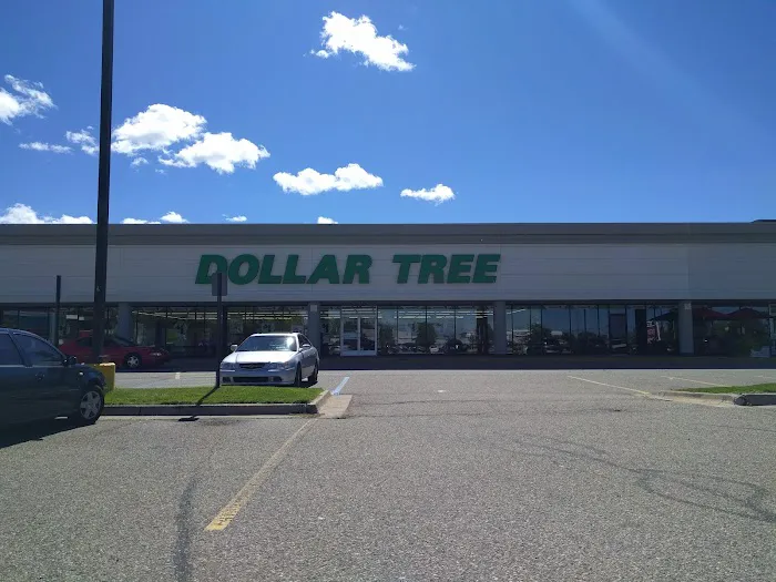 Dollar Tree 4
