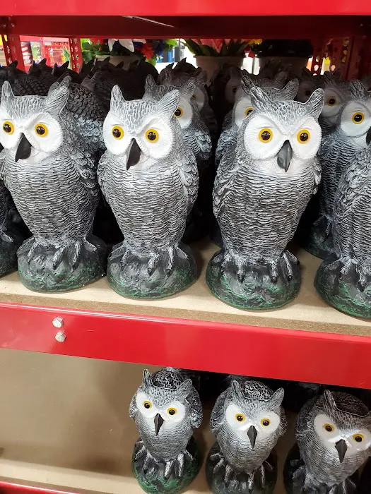 Ollie's Bargain Outlet 2