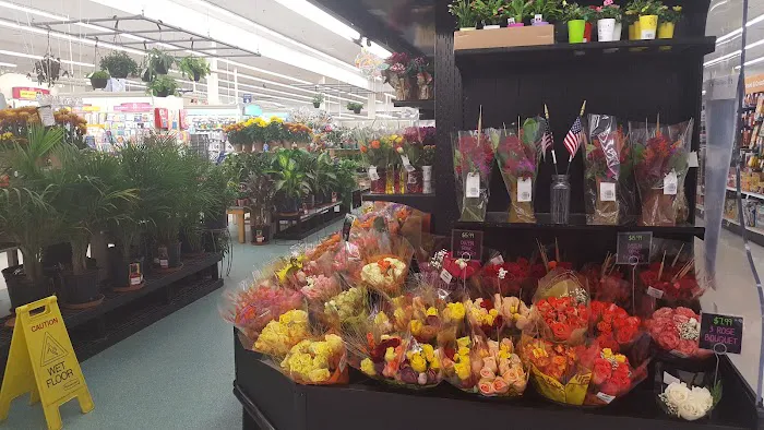 Meijer 6